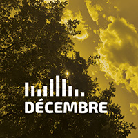 Carré NL décembre 200x200