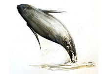 Pourquoi le saut des baleines ? / Cie Thomas Visonneau