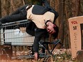 Shopping Cart / Cirque Lambda