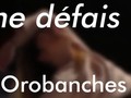 Si je me défais / Collectif Orobanches