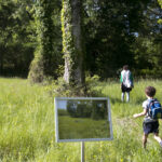 Cela débute par une balade artistique qui conduit le public au pied d’un arbre où il sera invité à établir une communication entre la nature et la part sauvage cachée en lui. Poésie, danse et cirque dessineront le parcours de cette conversation. Chacun pourra sentir une certaine humilité face à l’immensité du monde qui l’entoure.Marche sensible et performance artistique avec la compagnie Rouge Eléa.