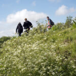 "Travail performatif qui aboutira à une photographie mettant en scène chaque élève aux prises avec une parcelle du paysage de l’île Nouvelle. Venir insérer son corps, pour le fusionner avec la nature, ou bien au contraire mettre en exergue cette dualité nature/culture est l’enjeu de ces créations plastiques que nous engagerons suite à leur découverte de l’île avec les Passeurs." GH
Intervenants : Les paysagistes de Passeurs et l’artiste-plasticien Guillaume Hillairet
Intégration et contraste dans le paysage
Les professeurs d’Arts Plastiques (Mme Glatigny) et de français (Mme Lamberton) seront les professeurs référents de la classe de 5eme du Collège St Jean à Pauillac