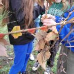 2_Decouverte-art-environnement_Talence