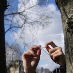 9_art-et-environnement_©Laurent-Cerciat